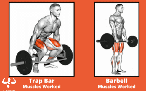 trap bar deadlift vs barbell deadlift muscles used