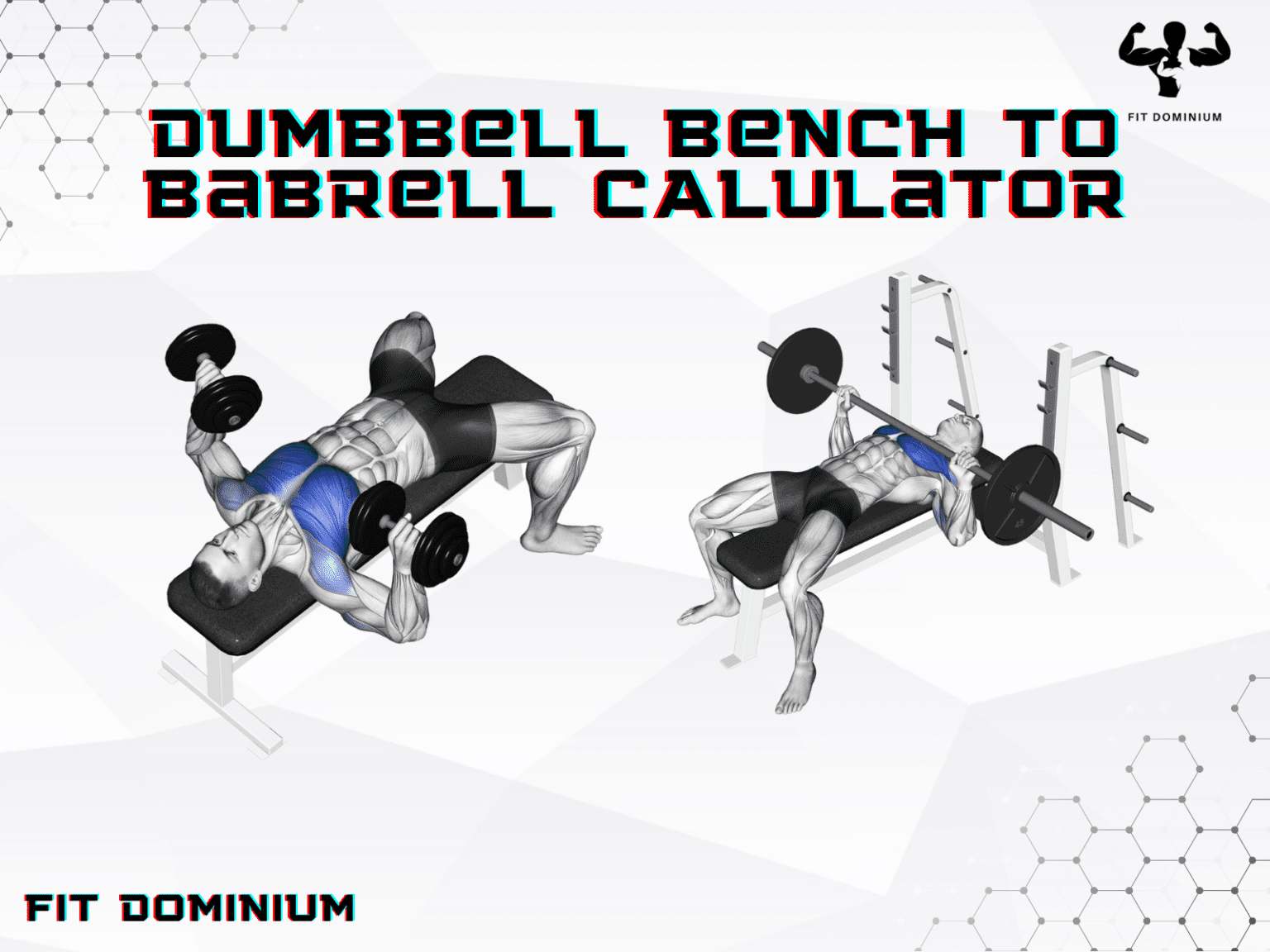 Dumbbell Bench To Barbell Calculator FitDominium