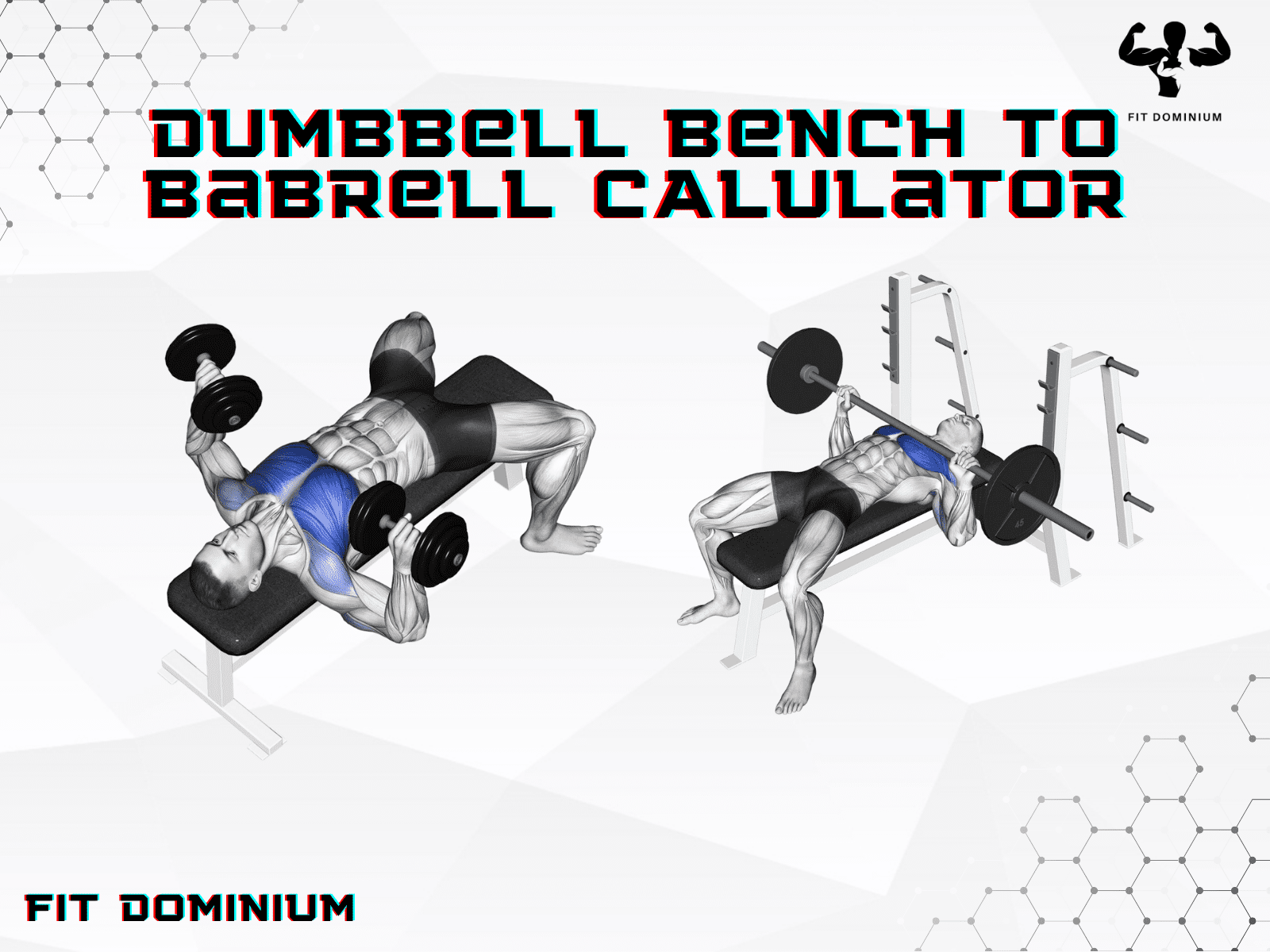 dumbbell-bench-to-barbell-calculator-fitdominium