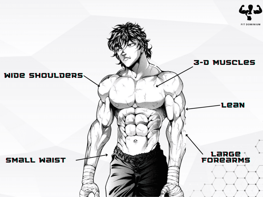 anime physique characteristics