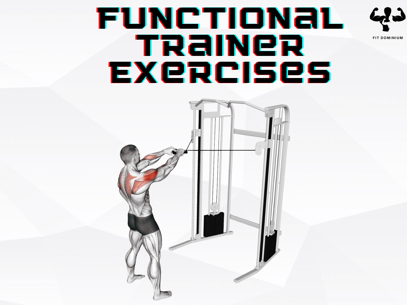 functional trainer exercises