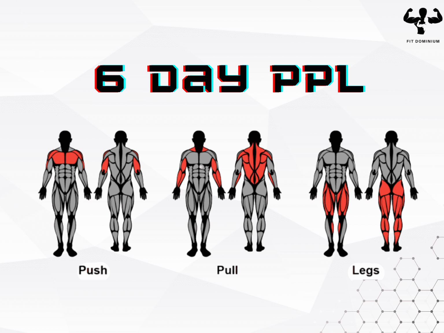 6 Day Push Pull Legs Workout Routine PDF: Free Download – FitDominium