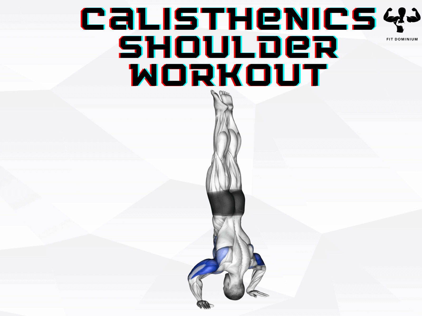calisthenics shoulder workout