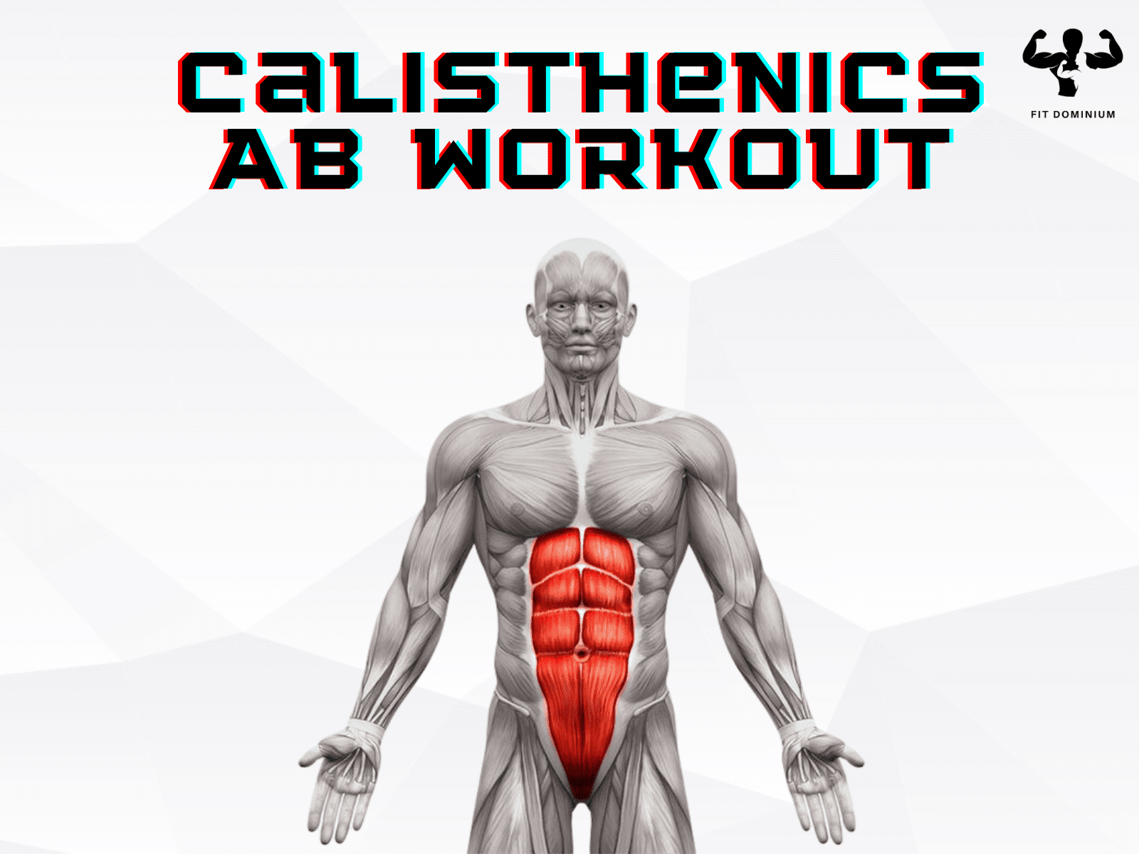 calisthenics ab workout