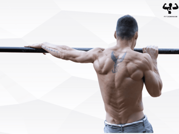 Calisthenics Vs Bodybuilding: Physiques And Benefits Compared | FitDominium