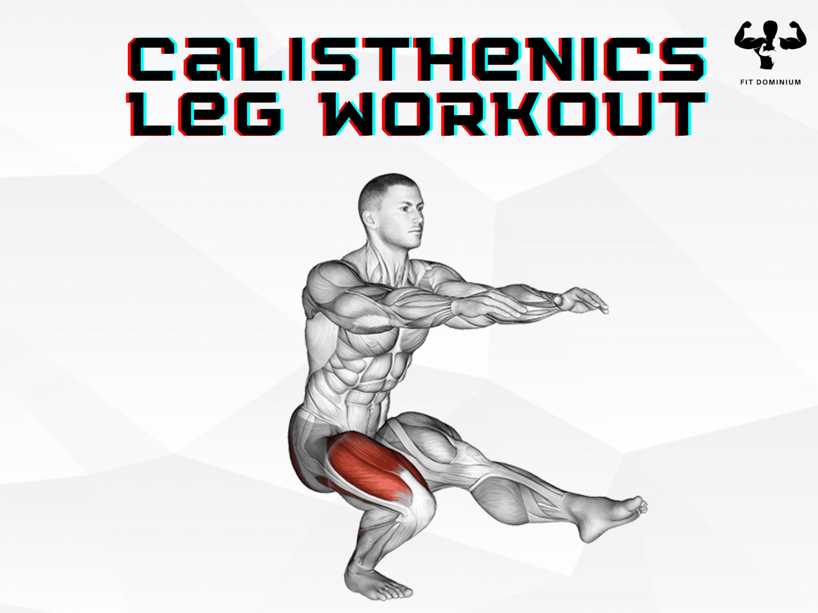 calisthenics leg workout