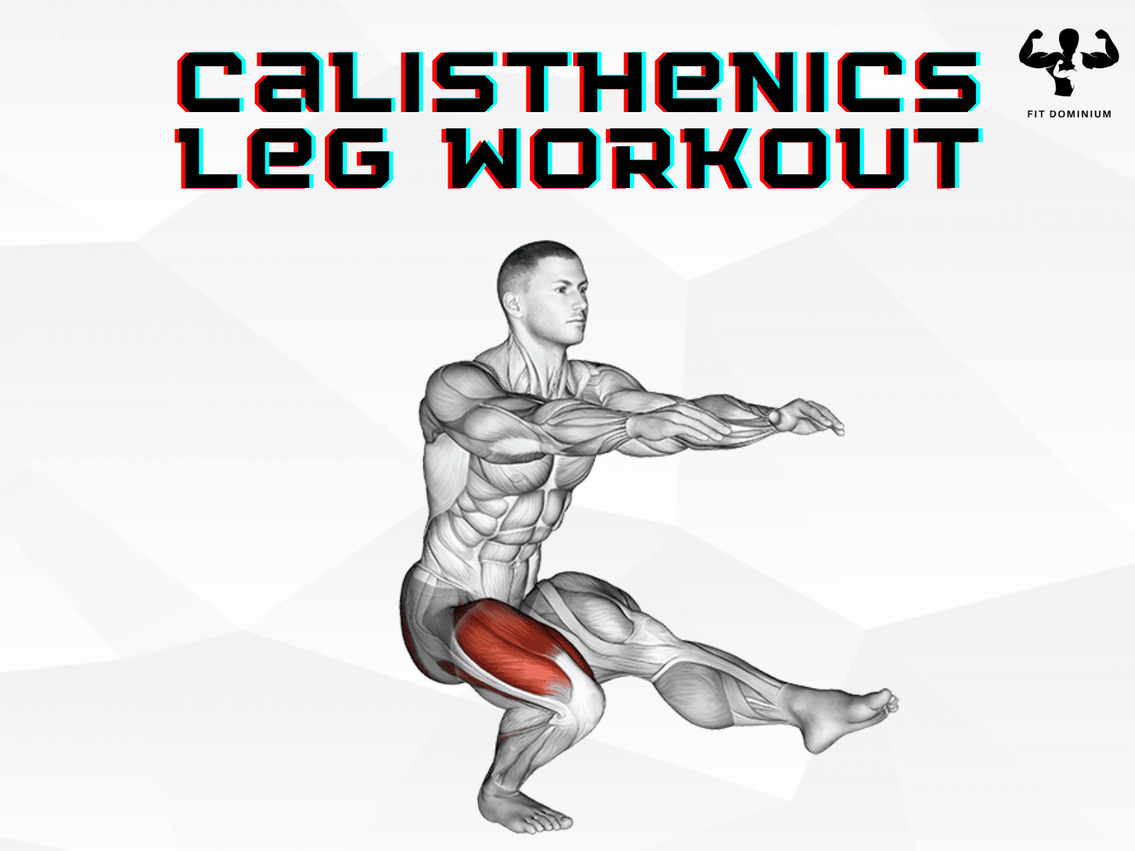 Calisthenics Leg Workout For Strength Mass FitDominium