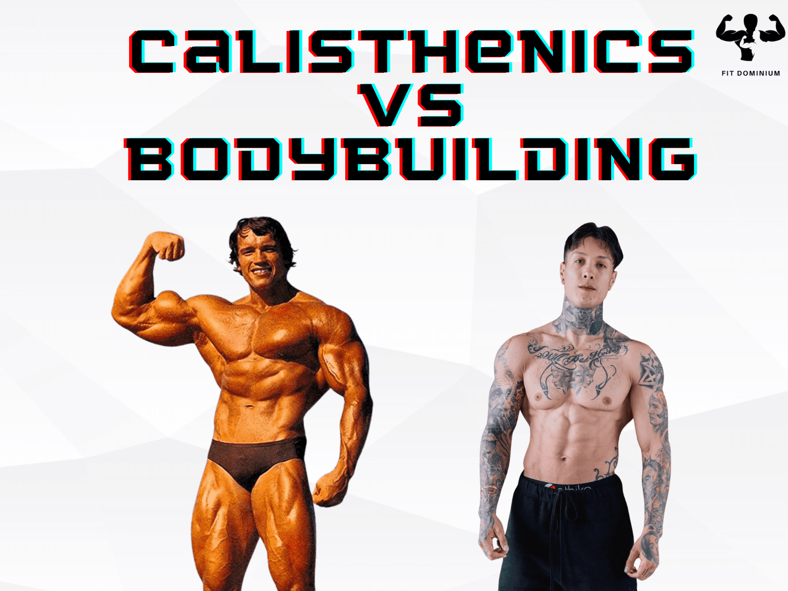 calisthenics vs bodybuilding