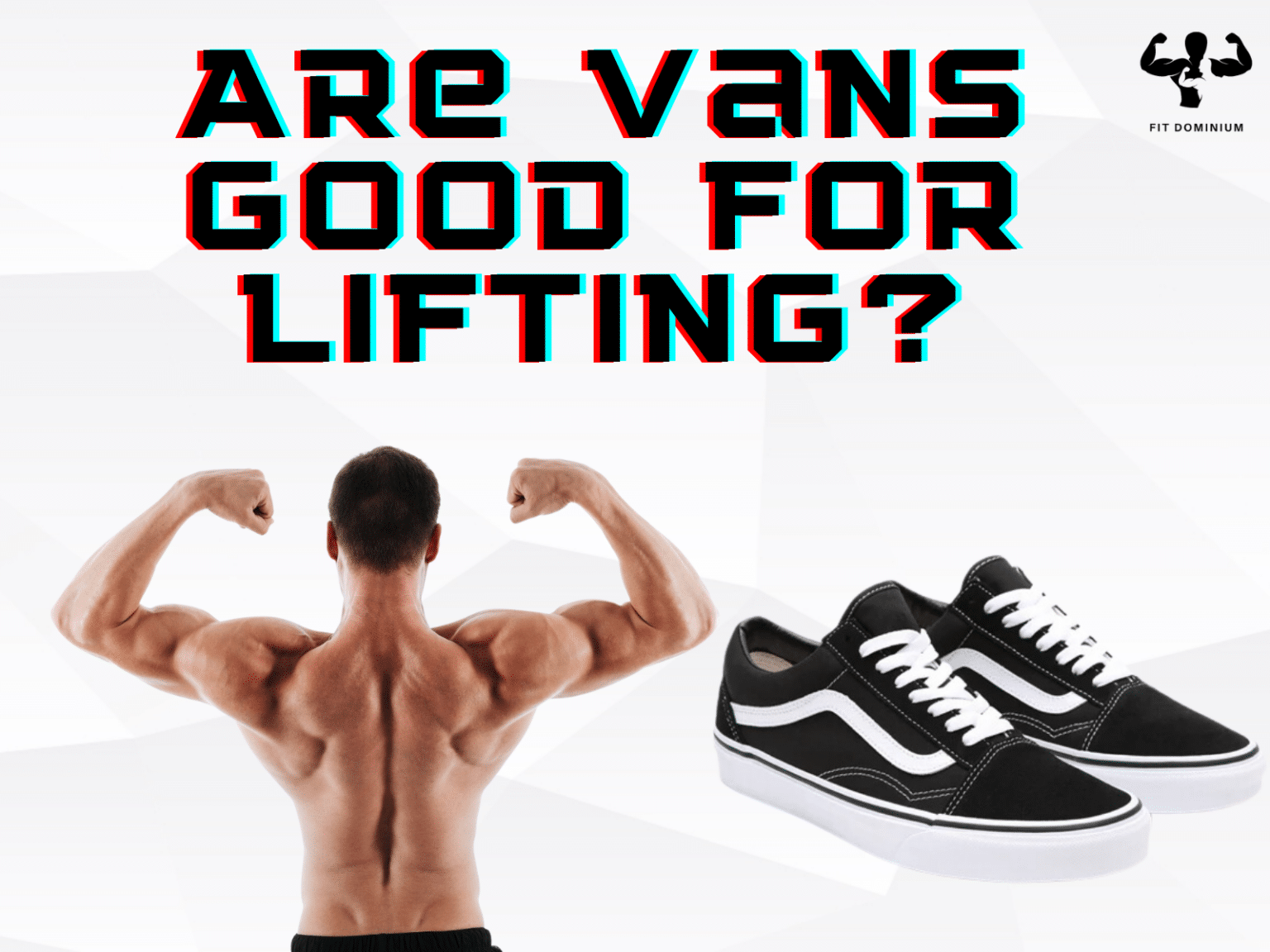 Are Vans Good For Lifting? FitDominium