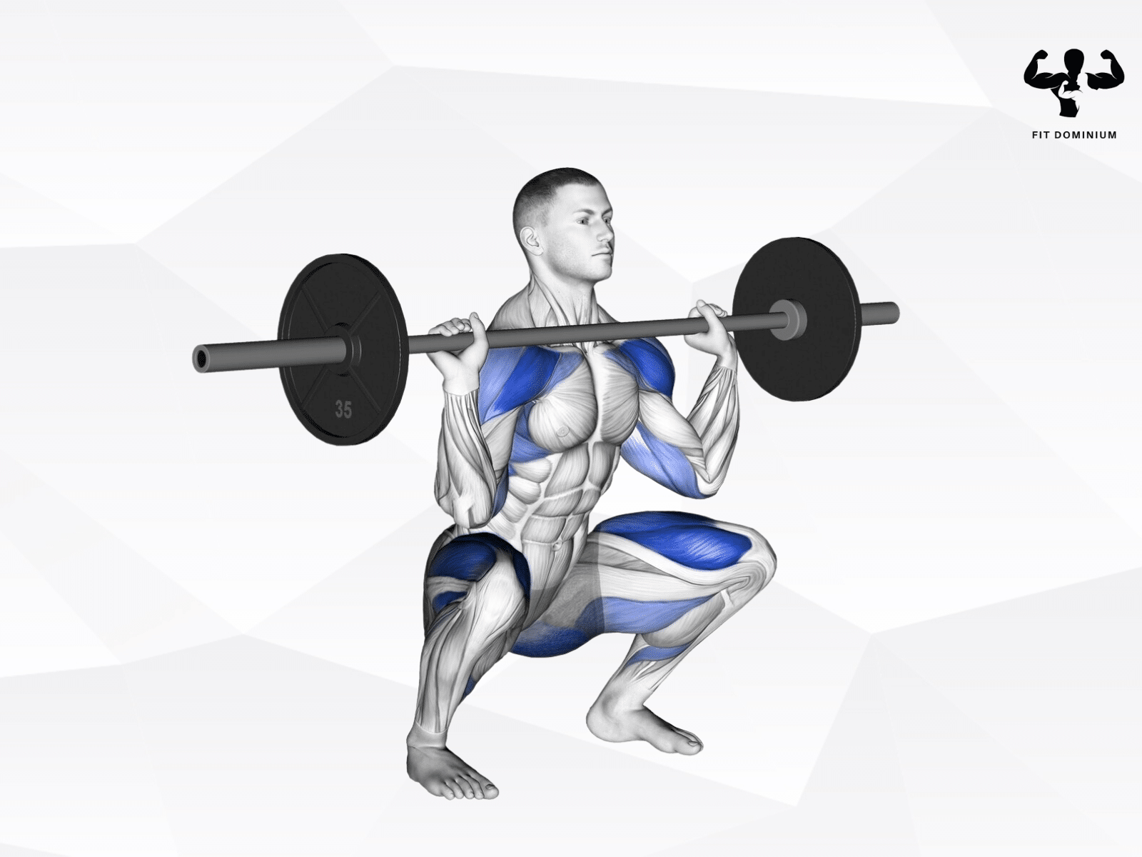 Barbell Thrusters How To & Benefits FitDominium