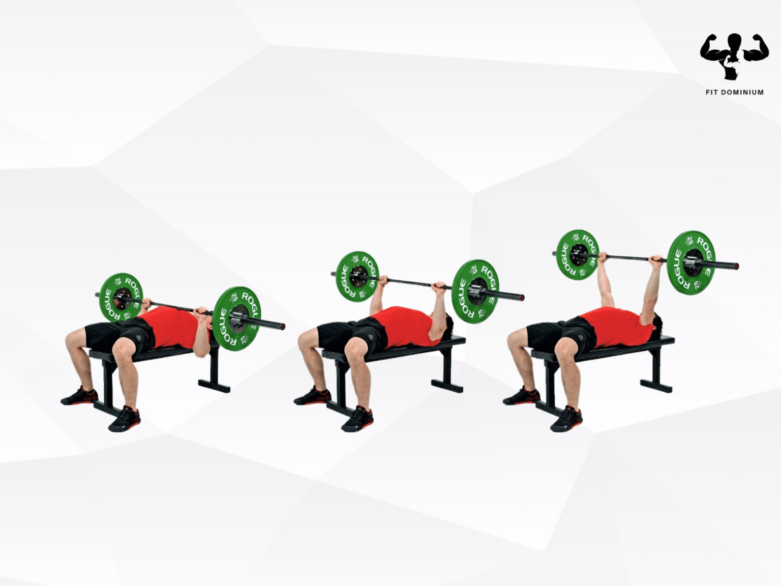 Barbell Bench Press How To & Benefits FitDominium