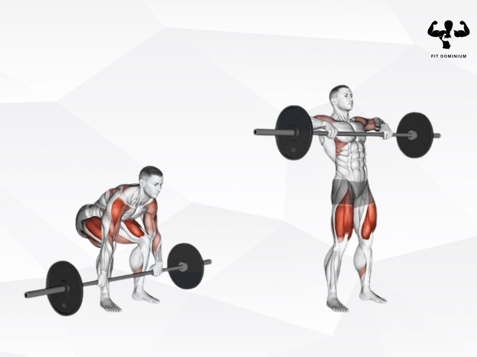 Barbell High Pull How To & Benefits FitDominium