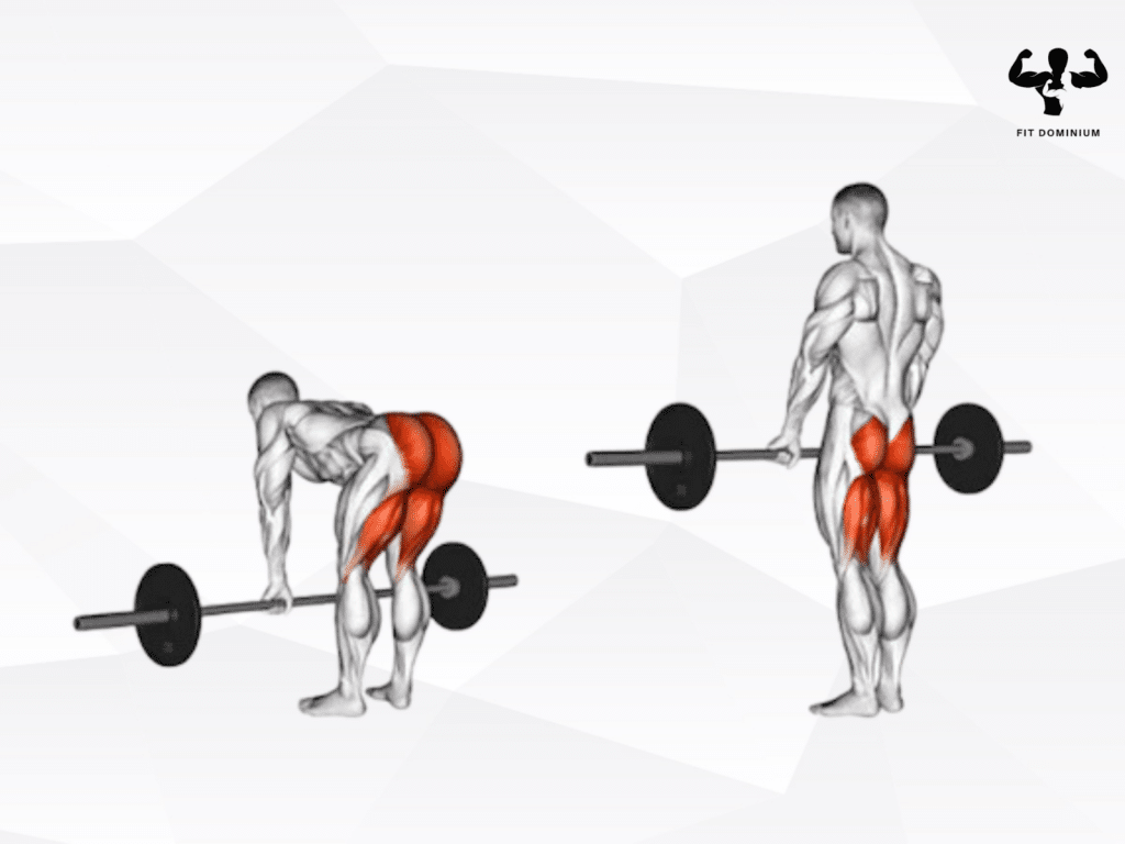 barbell Romanian deadlift