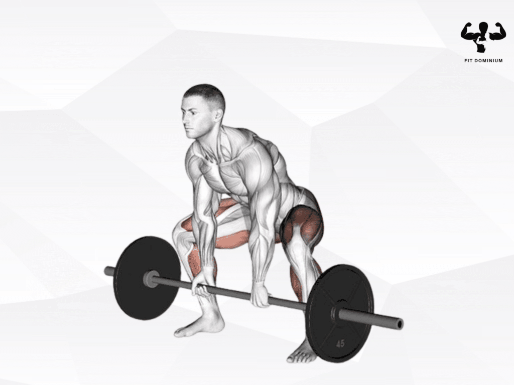 muscles worked by deadlift