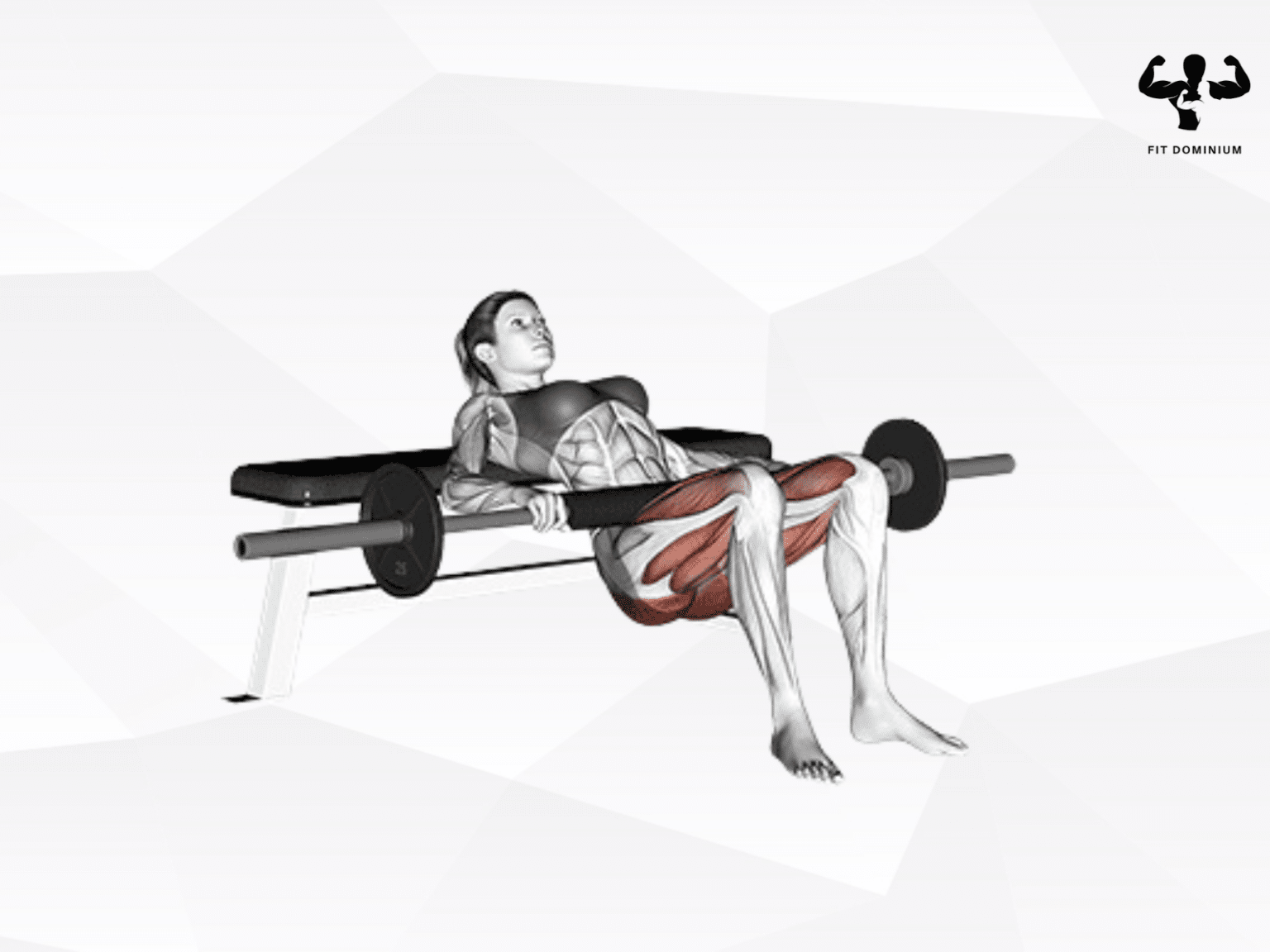 Barbell Hip Thrust: How To & Benefits | FitDominium