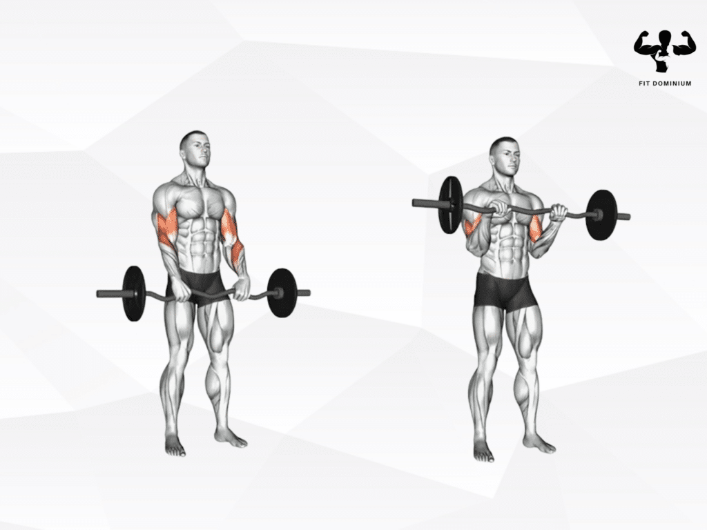 how to do reverse barbell curl 