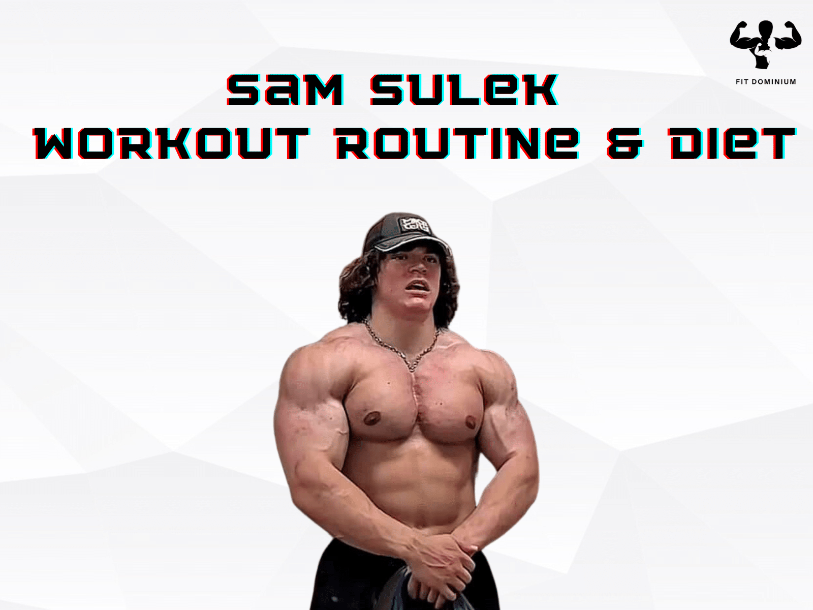 Sam Sulek Workout Routine & Diet – FitDominium