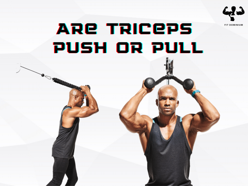 Are triceps push or pull?