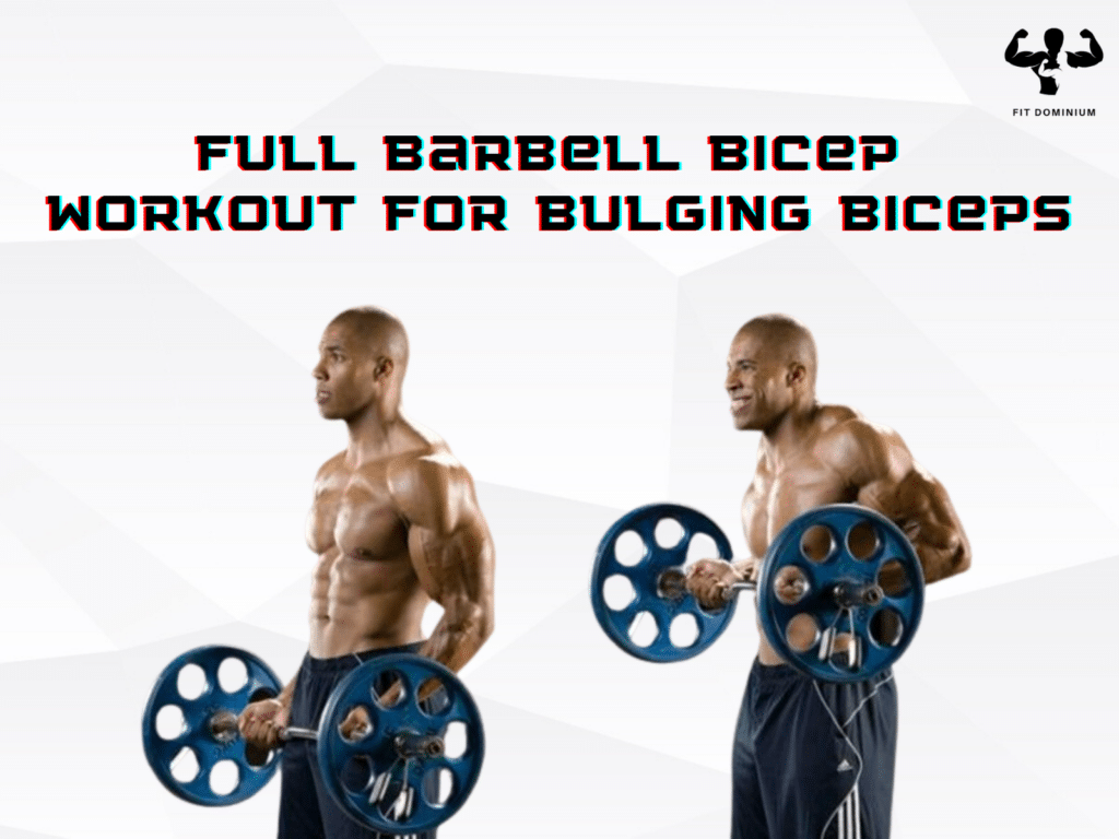 barbell bicep workout