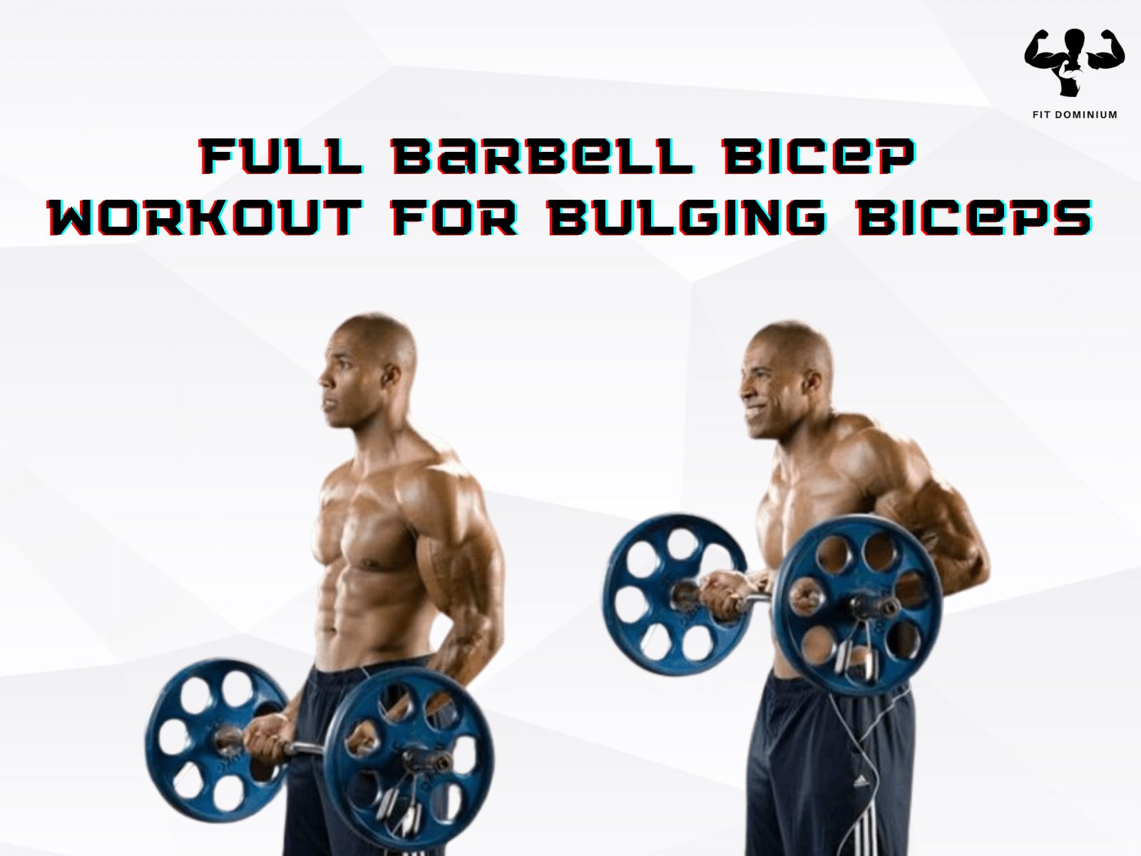 Full Barbell Bicep Workout for Bulging Biceps – FitDominium